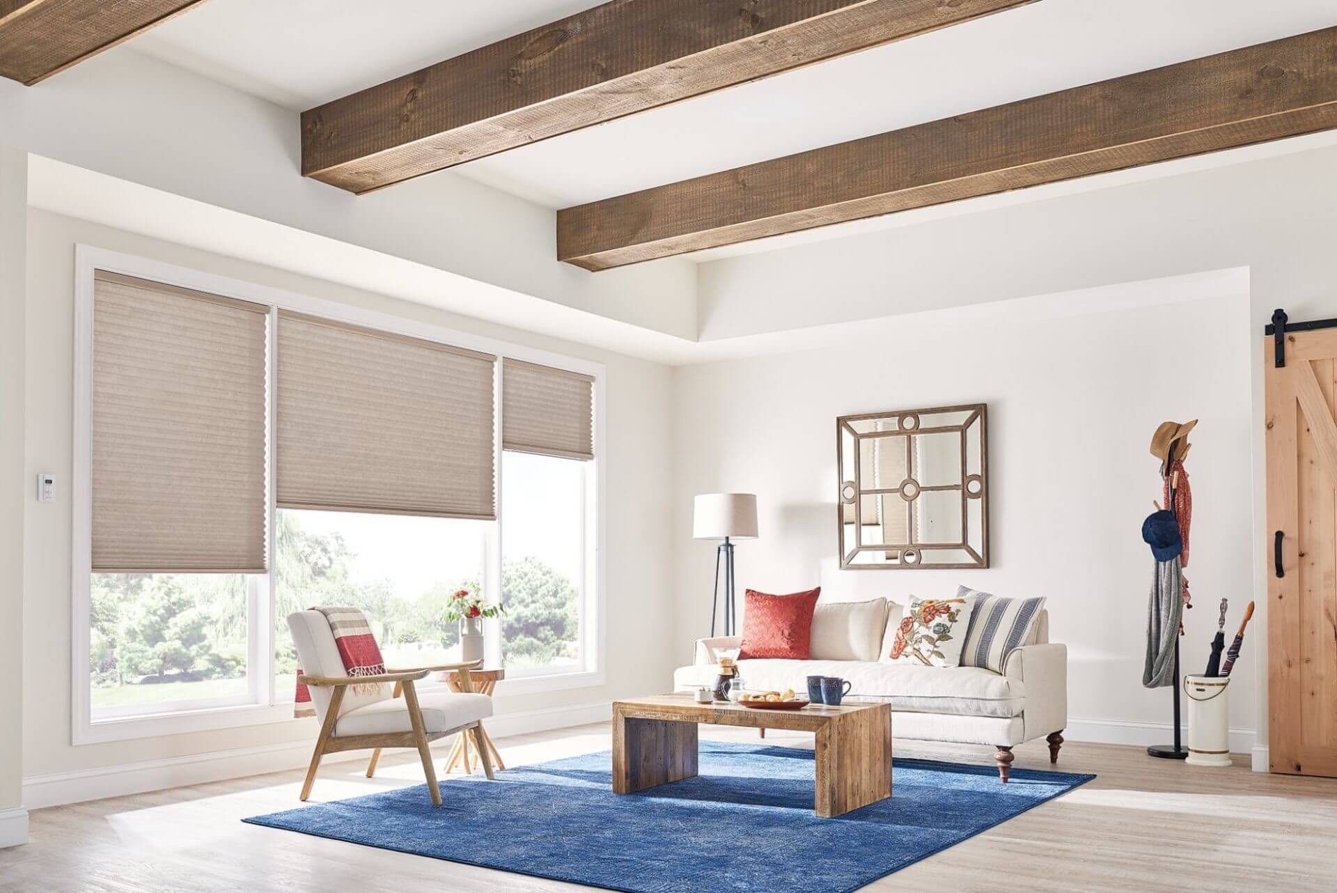 cellular shades blue carpet