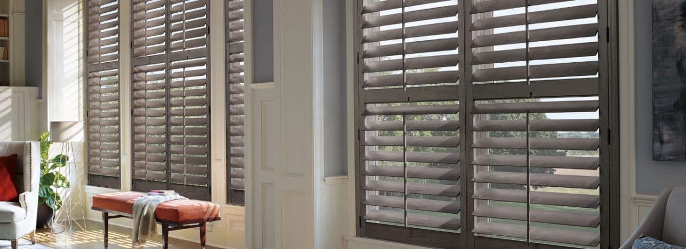 Double window with shades